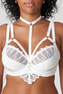 PrimaDonna Arthill Special Accessory